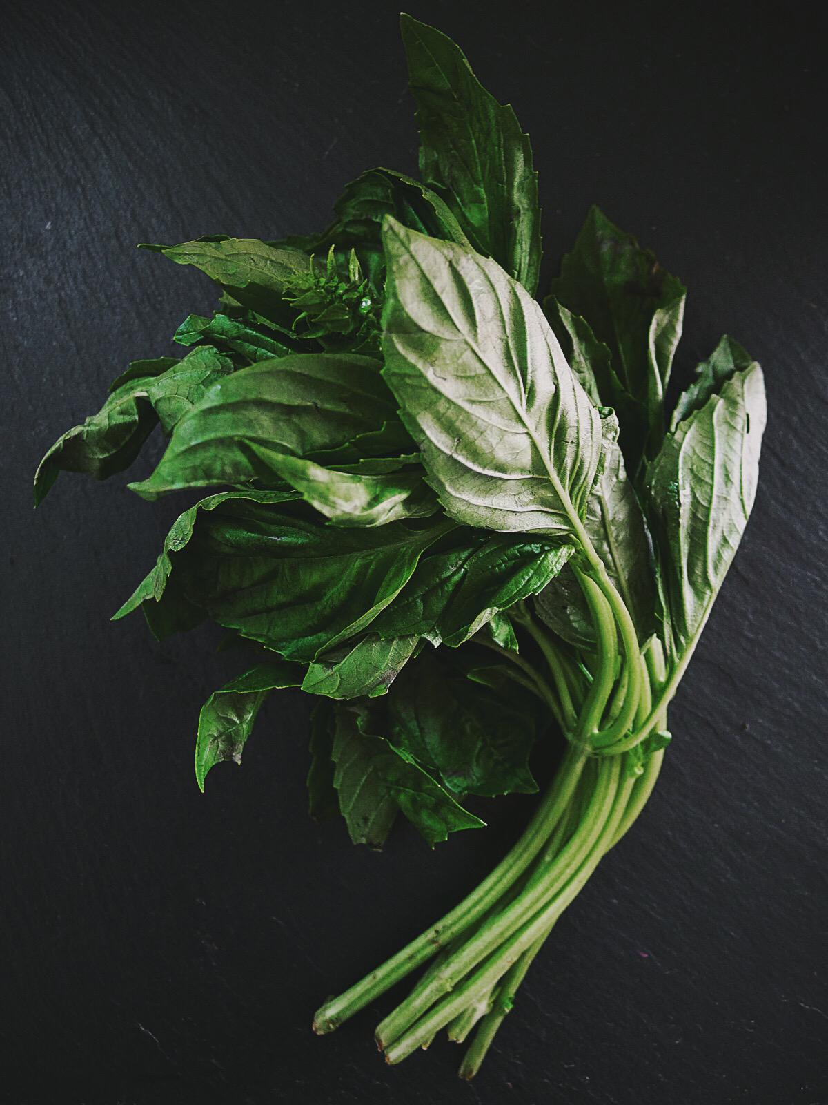 Basil-Leaves